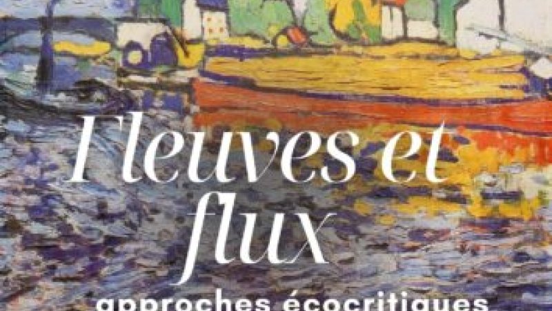 Affiche Fleuves